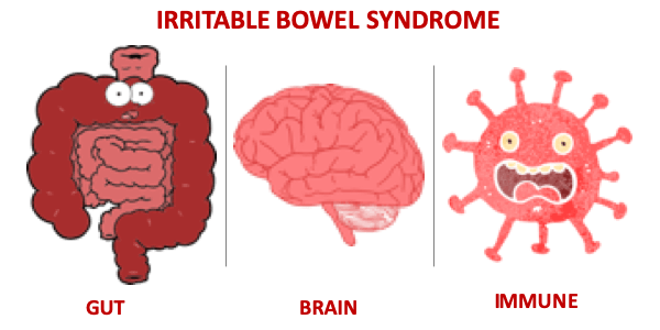 What Is Irritable Bowel Syndrome (IBS)?